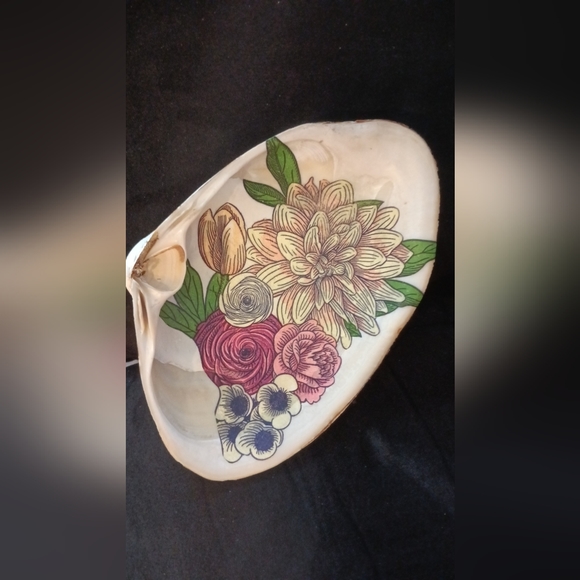 Sea shells - Picture 3 of 5